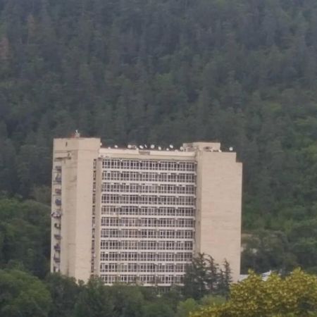 Mtis Kheoba Apartment Borjomi Luaran gambar
